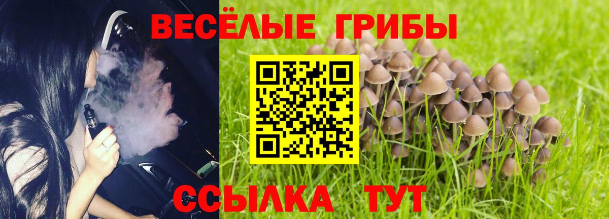 Воскресенск  Галлюциногенные грибы мицелий  Галлюциногенные грибы GOLDEN TEACHER  Вход с VPN 